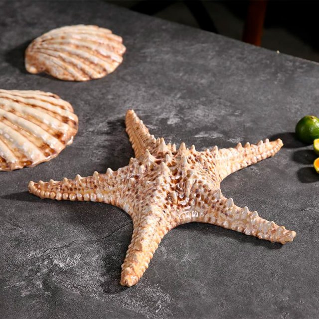Блюдо 28см Звезда песочный керамика Frutti di Mare 81221991